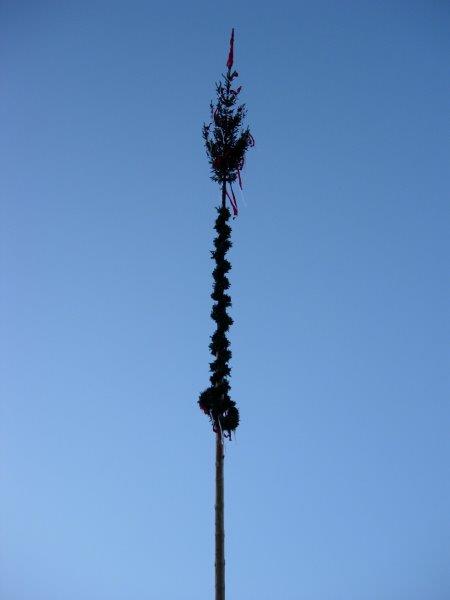 Maibaumaufstellen-2015 021
