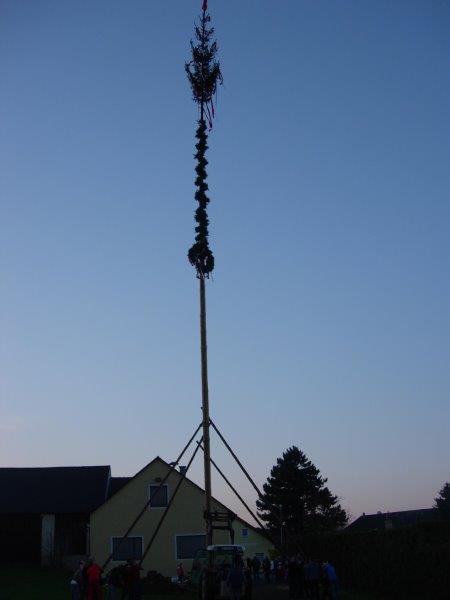Maibaumaufstellen-2015 022