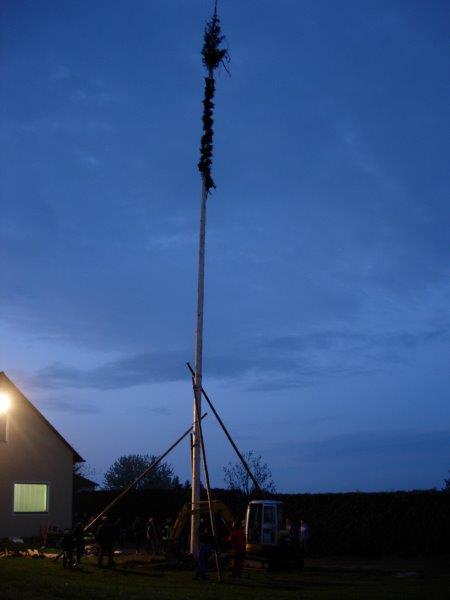 Maibaumaufstellen-2015 027