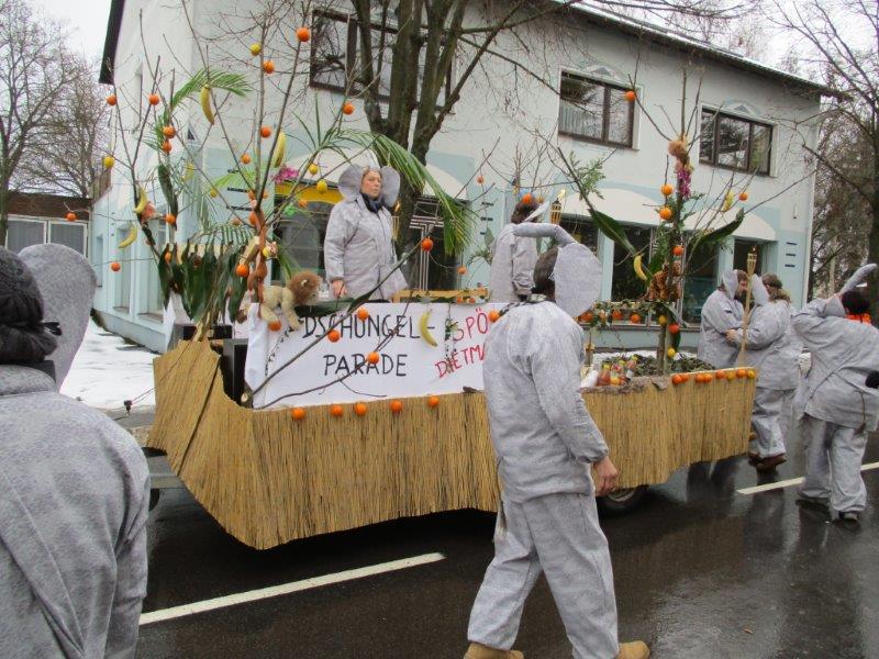 faschingszug 24-01-2016 024