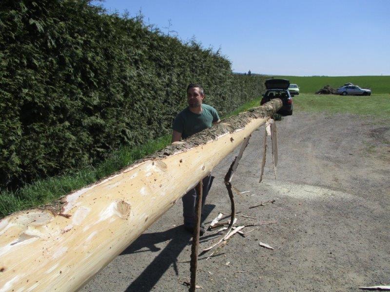 Maibaum aufstellen 30-04-2016 002