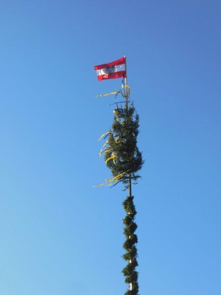 Maibaum aufstellen 30-04-2016 020
