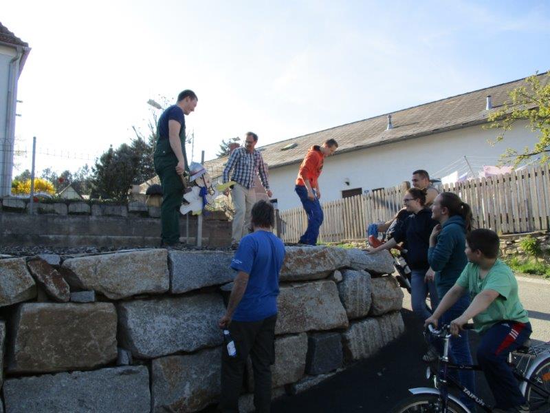 Storch Aufstellen Hauer 001