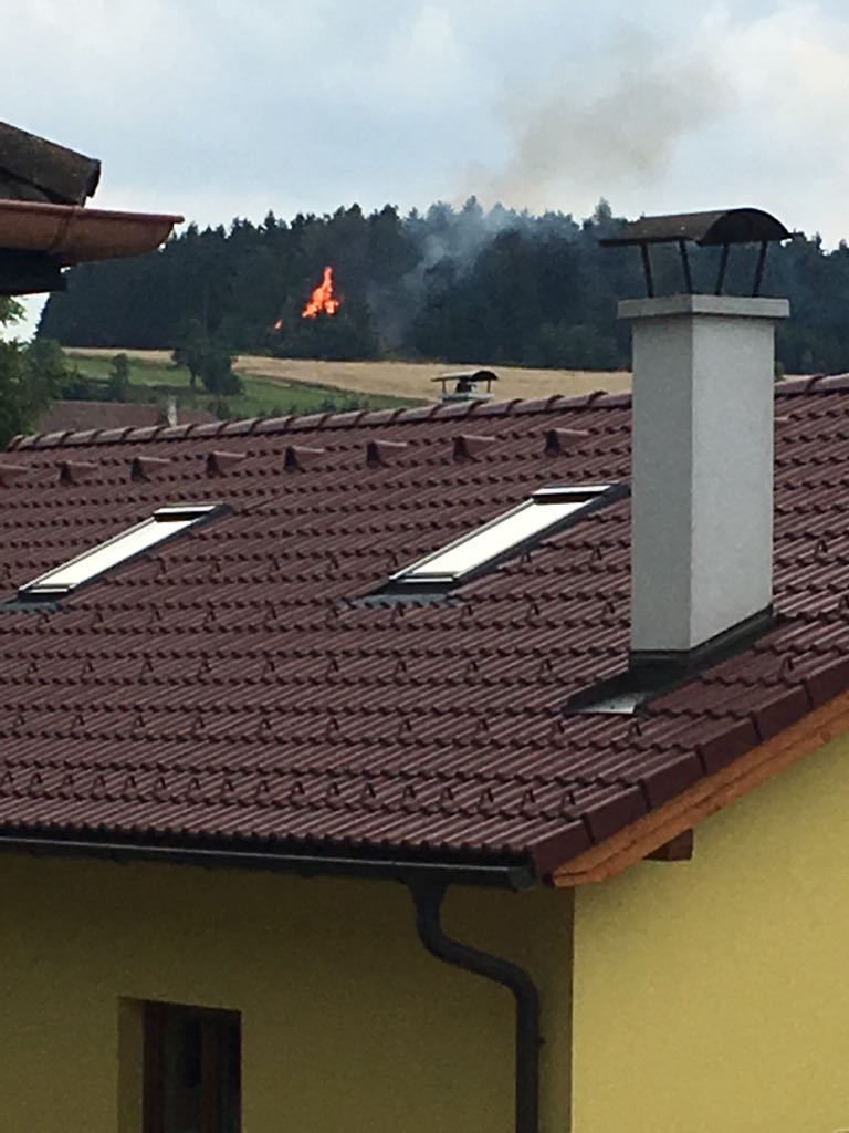Einsatz-Waldbrand-Waldreichs-21.07.2018-001