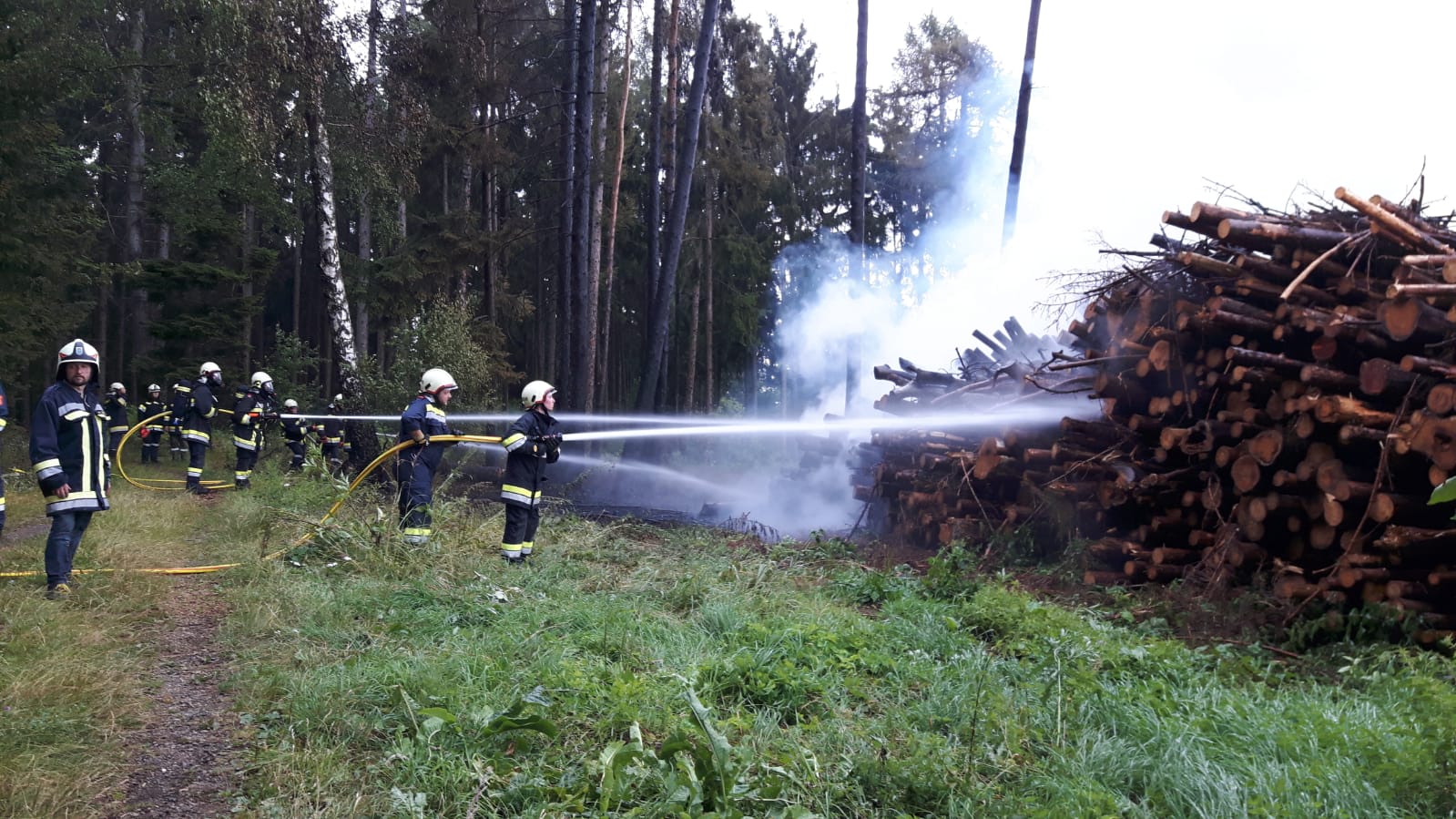 Einsatz-Waldbrand-Waldreichs-21.07.2018-009