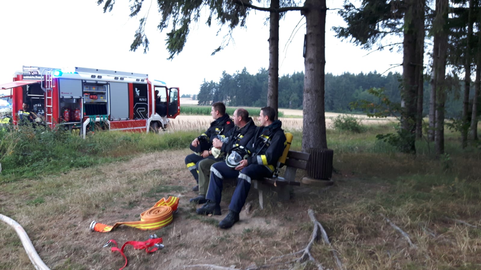 Einsatz-Waldbrand-Waldreichs-21.07.2018-010