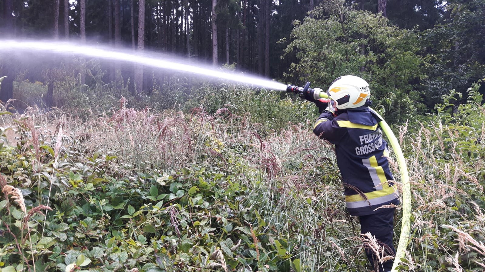 Einsatz-Waldbrand-Waldreichs-21.07.2018-011