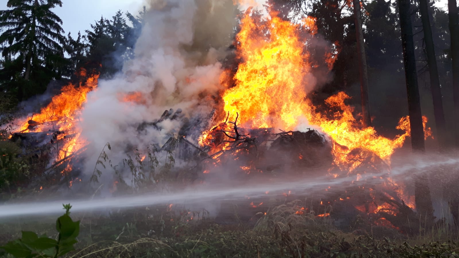 Einsatz-Waldbrand-Waldreichs-21.07.2018-012