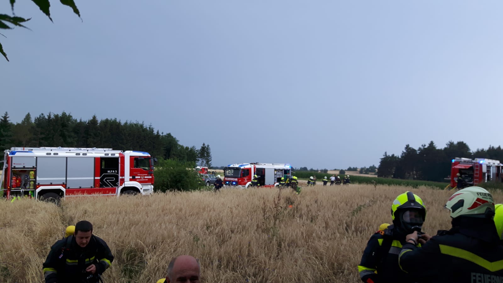 Einsatz-Waldbrand-Waldreichs-21.07.2018-013