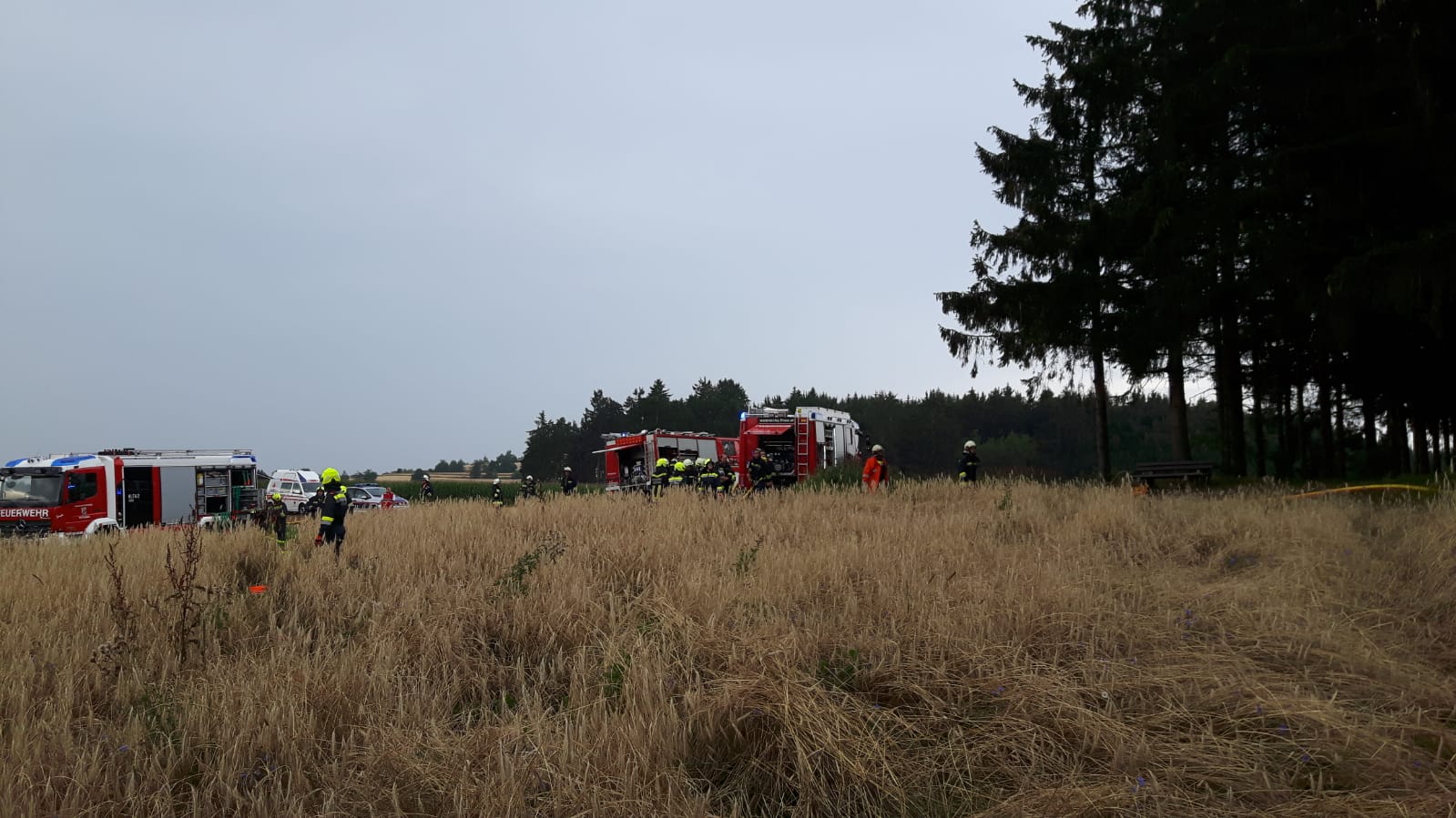 Einsatz-Waldbrand-Waldreichs-21.07.2018-014