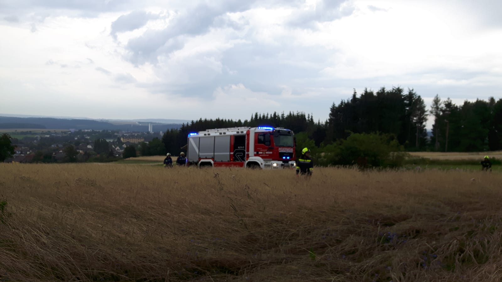 Einsatz-Waldbrand-Waldreichs-21.07.2018-015