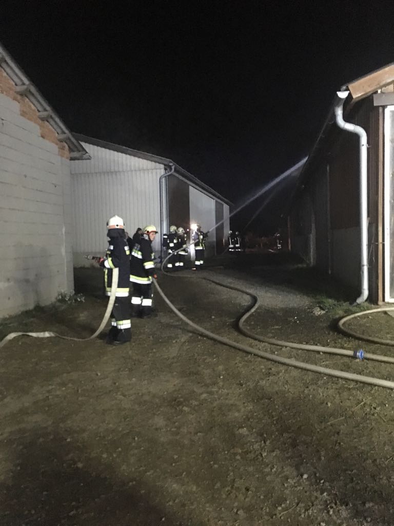 Inspektionsbung-Wienings-25.10.2017-001