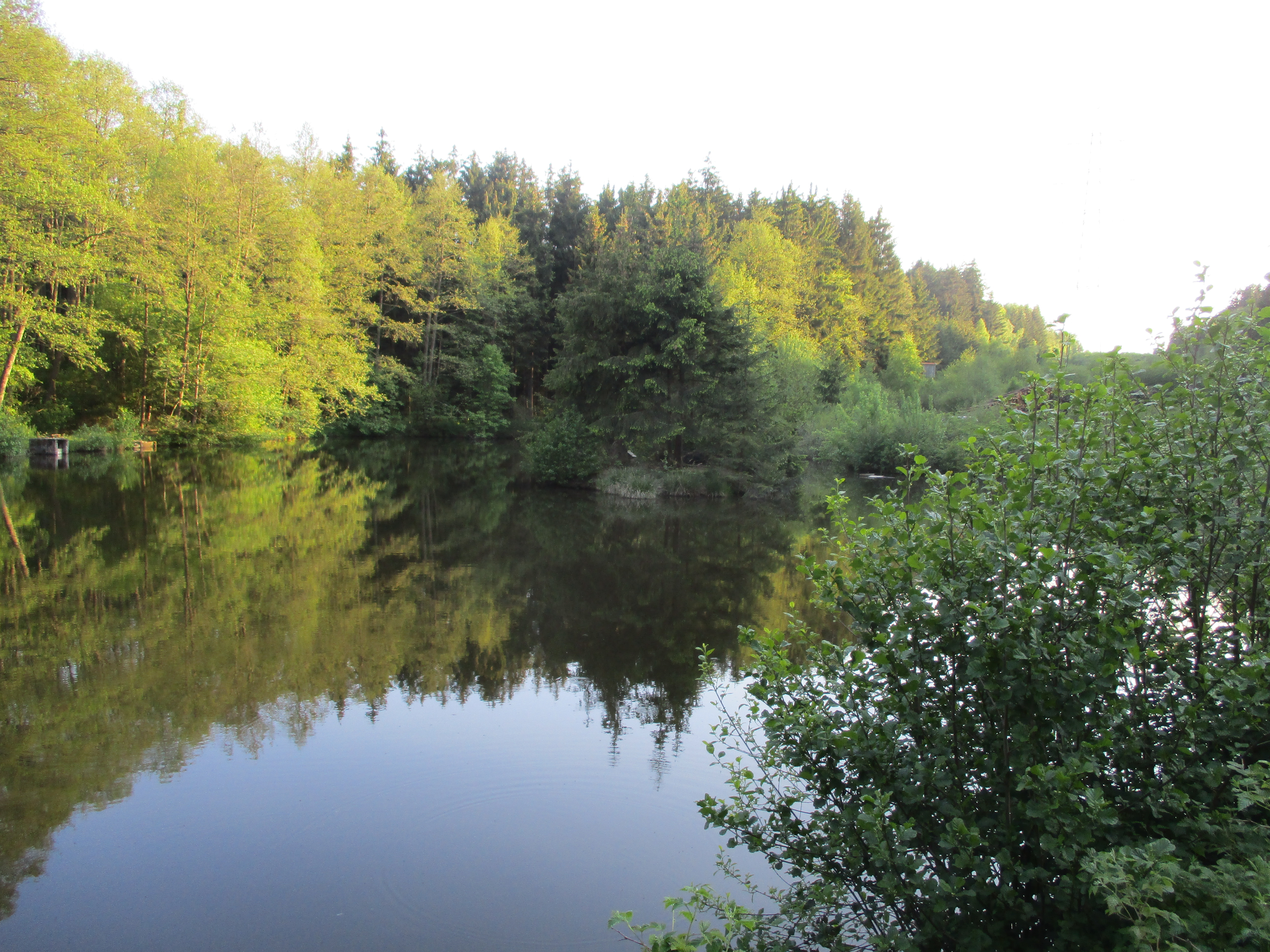 Monatsübung am 24.05.2019 Monatsbung am 24052019 008